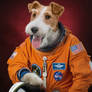 Animal familly portraits 02 Fox Terrier