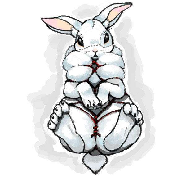 What is a bondage bunny