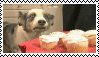 Stamp: Cupcake Dog by SealyTheSeal