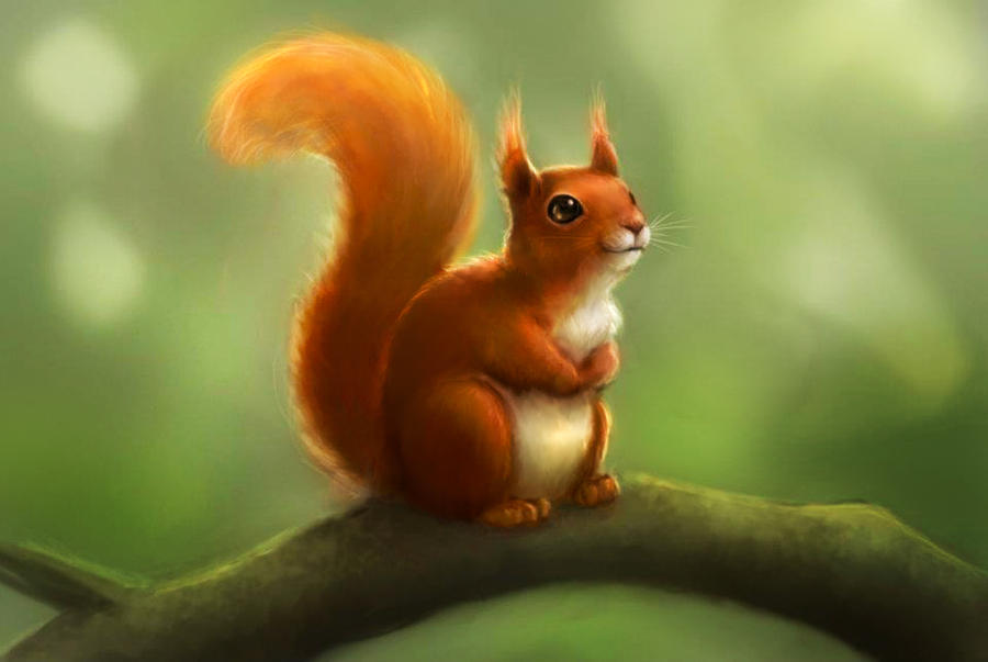 Deviantart Risumon Squirrel Squirrelzz by ReBeLKiMy on DeviantArt