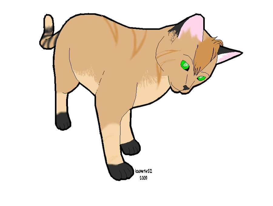 Rustclaw by Pokelily on DeviantArt