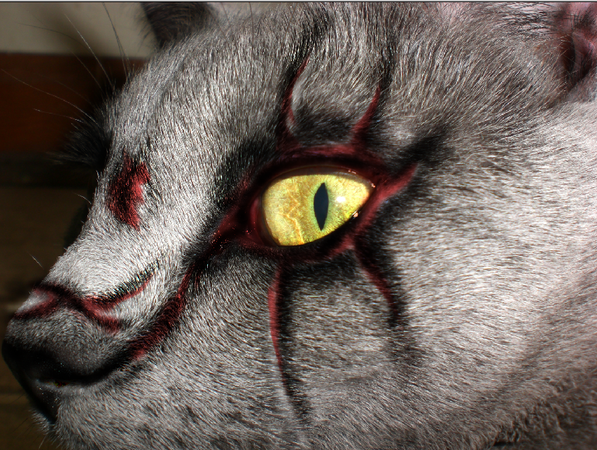 zombie cat wip