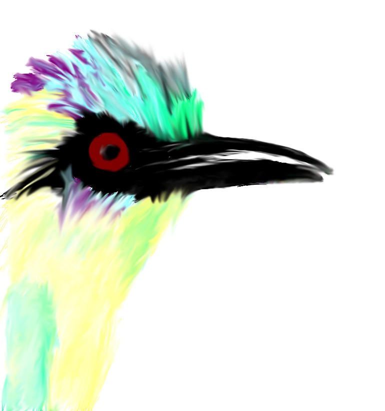 Colorful Bird by Trash-Fish on DeviantArt