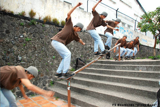 FS Boardslide Downrail