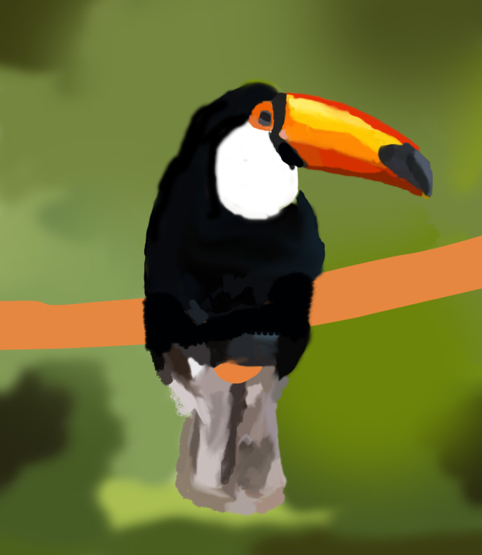 Toco Toucan