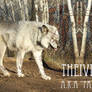 Theiver