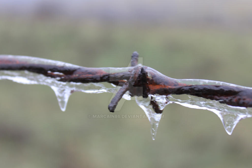 Frozen Rust Frozen Rust by Marcain86 on DeviantArt