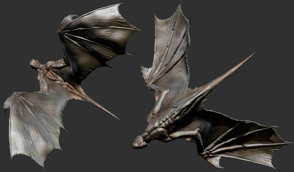 ZBrush - Wings Study 2