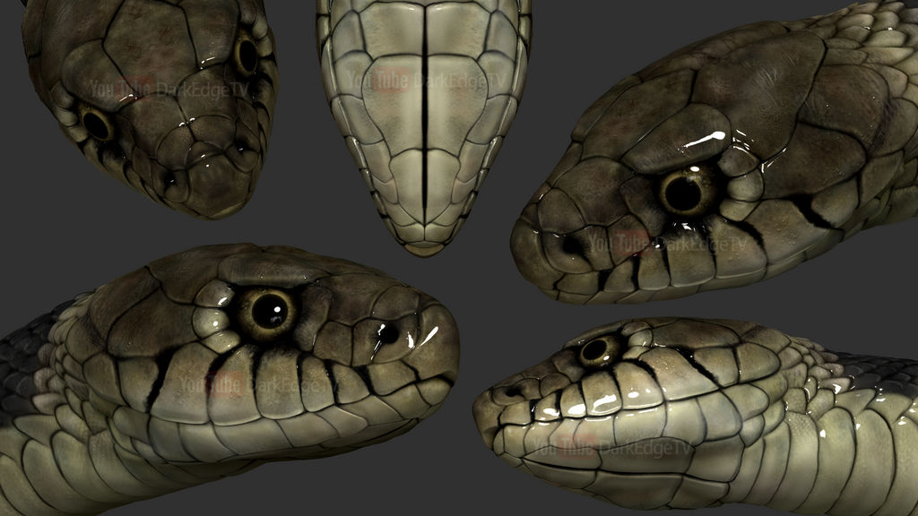 Zbrush Garden Snake By Rebecca1208 On Deviantart