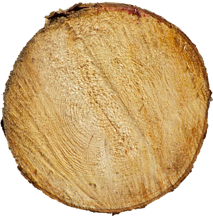 log texture by anul147 on DeviantArt