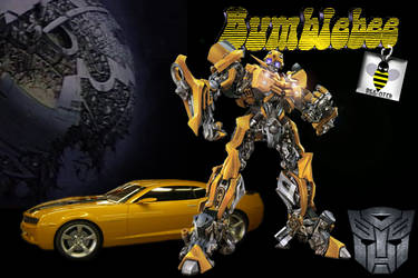 Bumblebee Sig, Second One