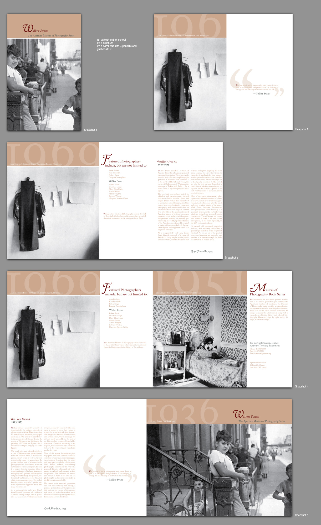 brochure for class project