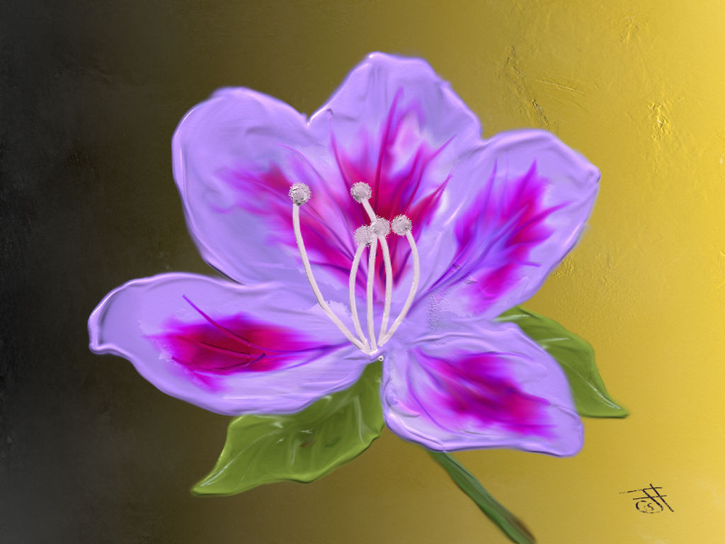 Bauhinia flower