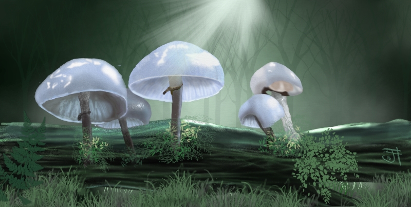 Mushroom Fantasy-th