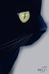 Black Cat #4