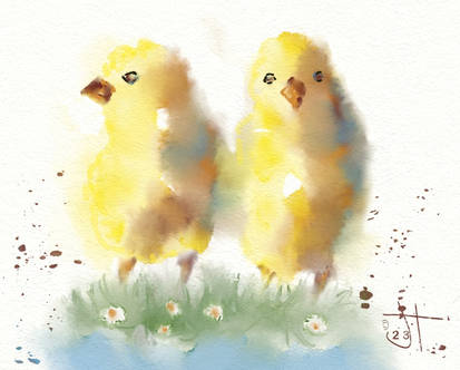 2 Chicks