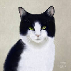 A Tuxedo Cat by enug66
