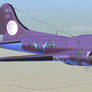 NLR B-17 Bomber