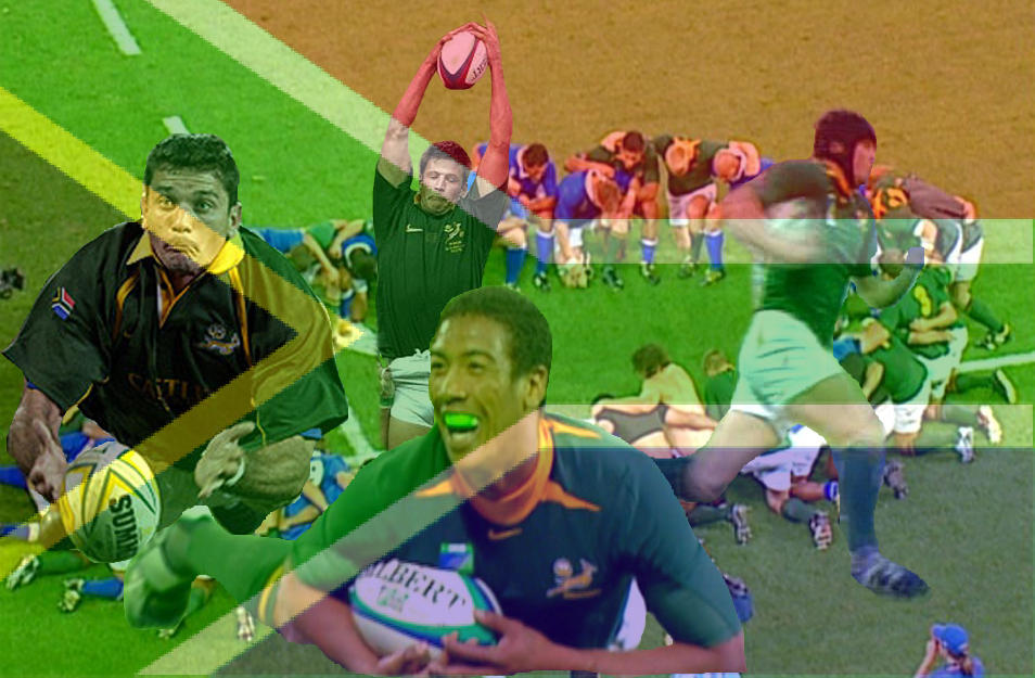 Springboks by ADSBRAKES on DeviantArt