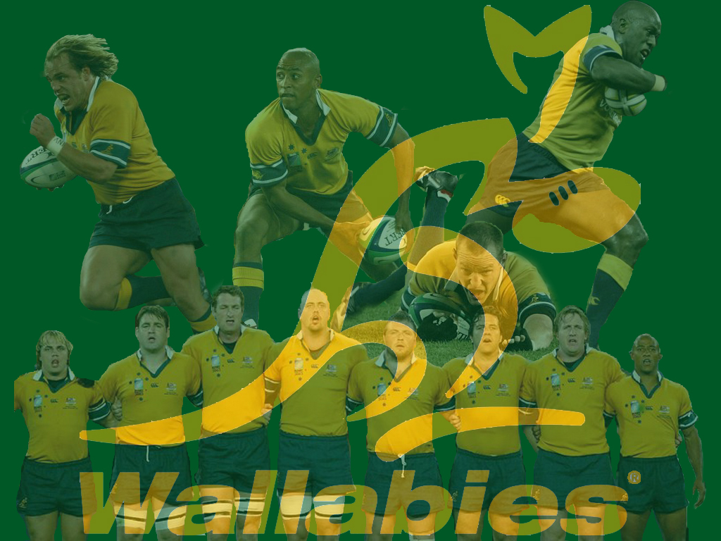 Official facebook page of the wallabies. Wallabies Rugby Wallpaper . Wallabies By Adsbrakes On Deviantart