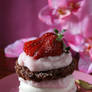 chocolate strawberry pastry