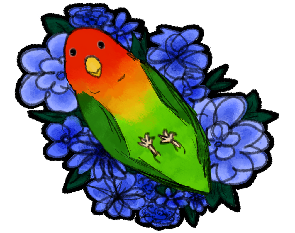 Lovebird By Smoked tuna On DeviantArt lovebird-by-smoked-tuna-on-deviantart