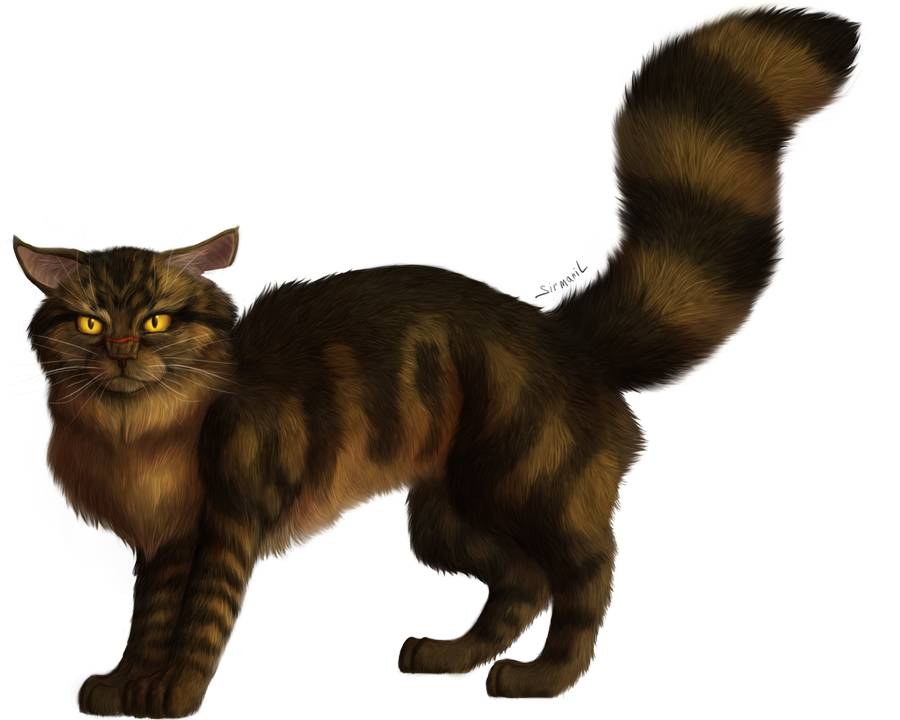 Tigerstar :remake: