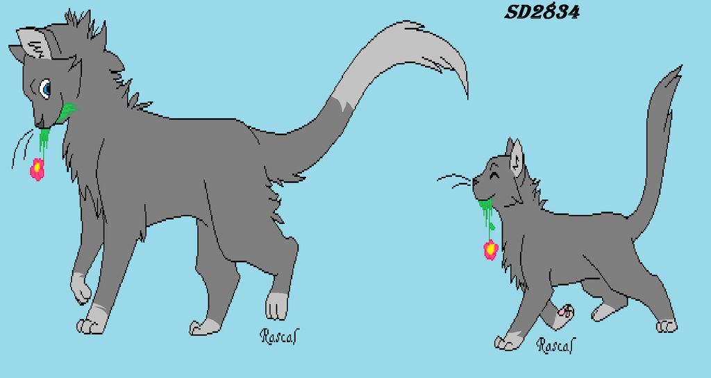 Rascal by SpiritDraw-er2912 on DeviantArt