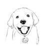 Cute dog sketch