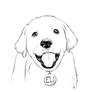 Cute dog sketch