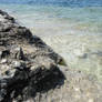 Rocky Shore