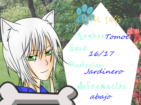 Tomoe Ficha