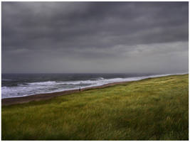 Cloudy Beach