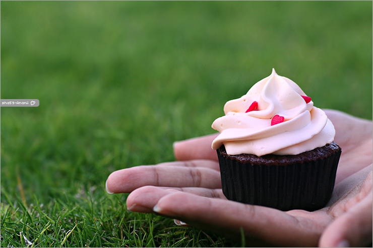 Cupcake . . .