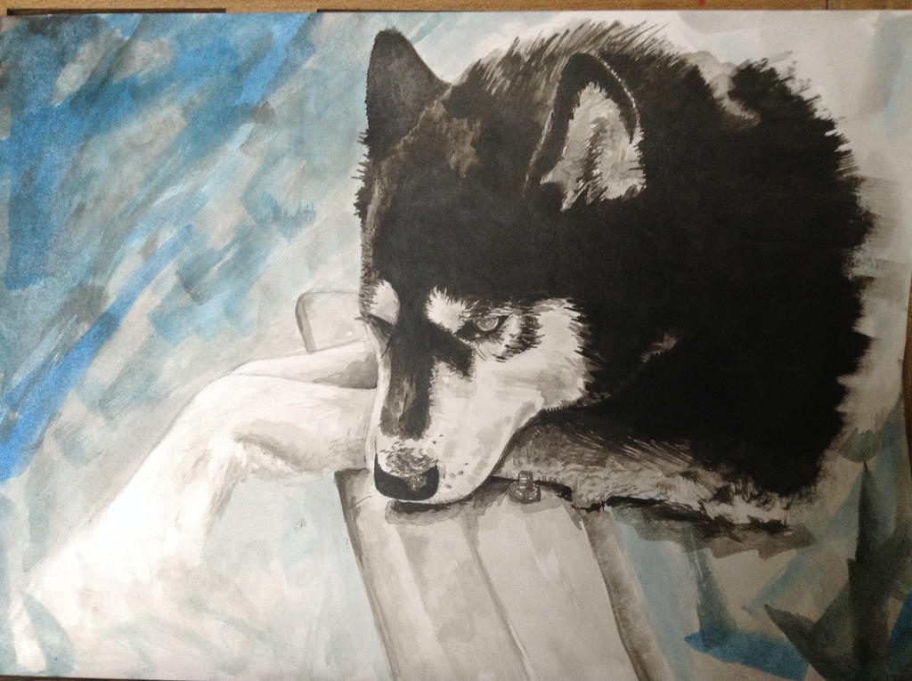 Ink Painting of a Husky