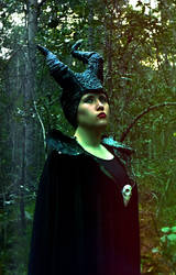 Maleficent #3