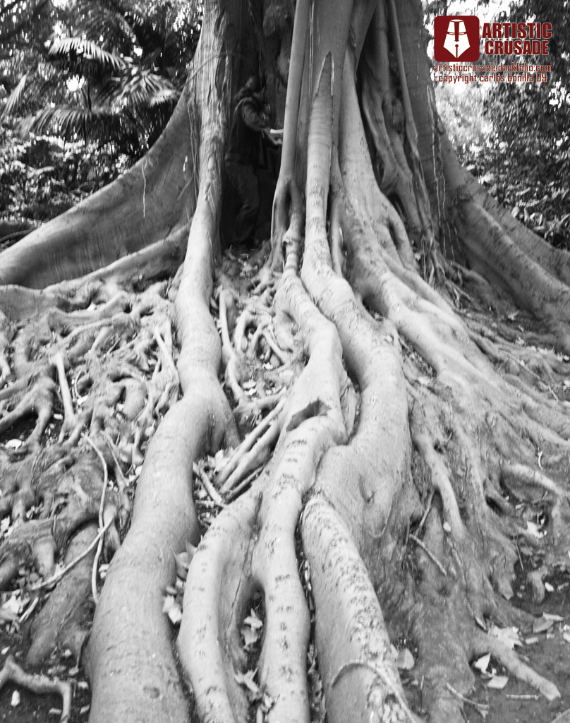 hidden root gate