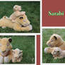 Sarabi plushies