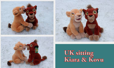 UK sitting Kovu and Kiara