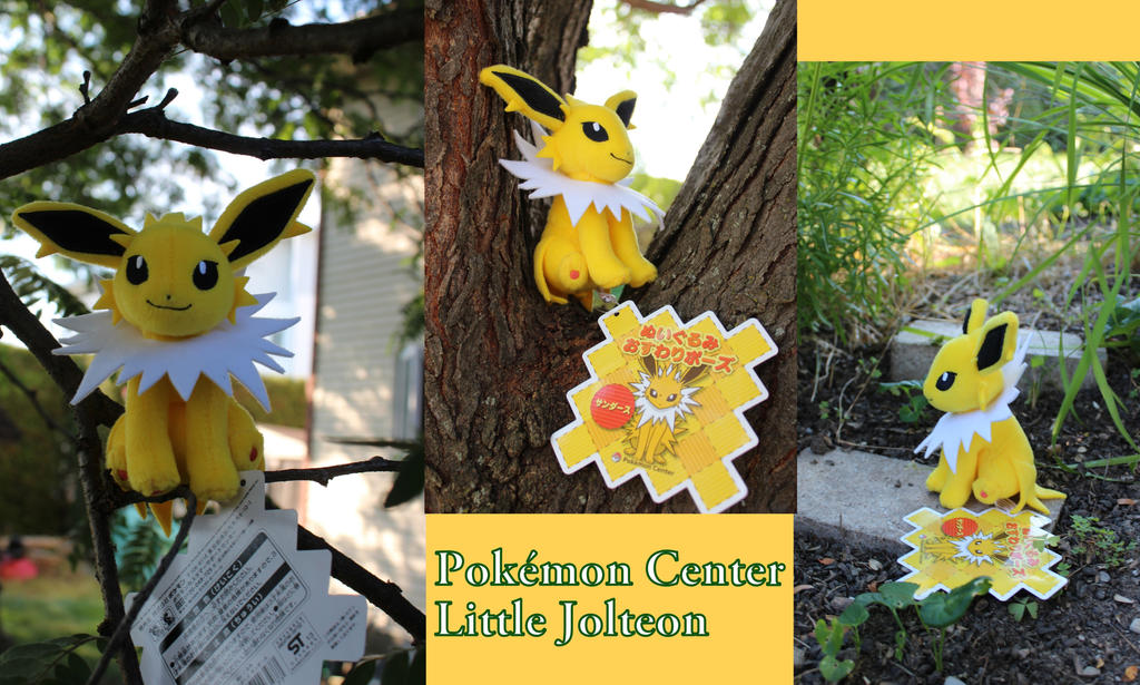 Little Jolteon by Pokemon Center