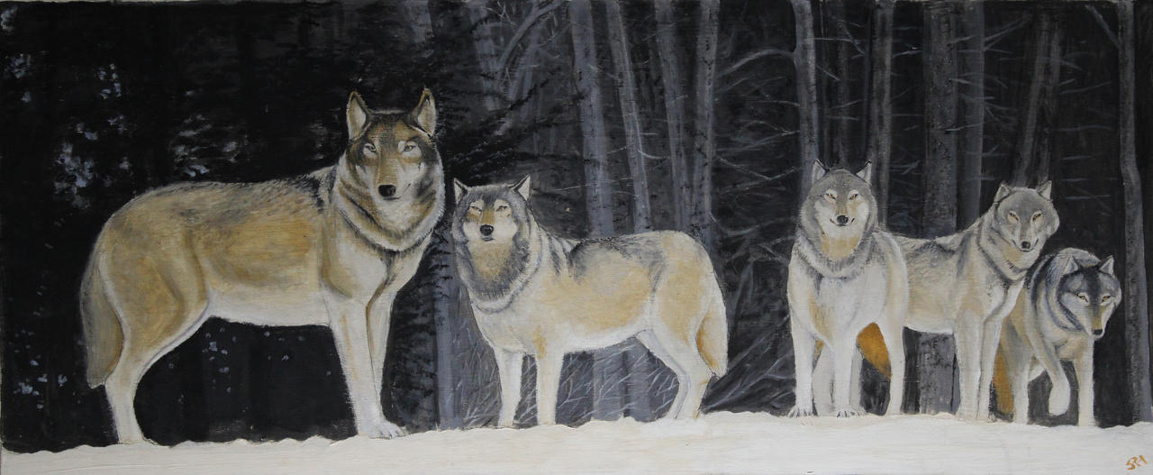 Cd Rudd Deviantart Wolfpack Wolfpack by shuddles2 on DeviantArt
