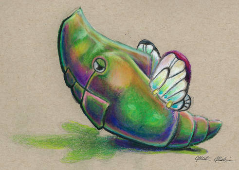 011 Metapod