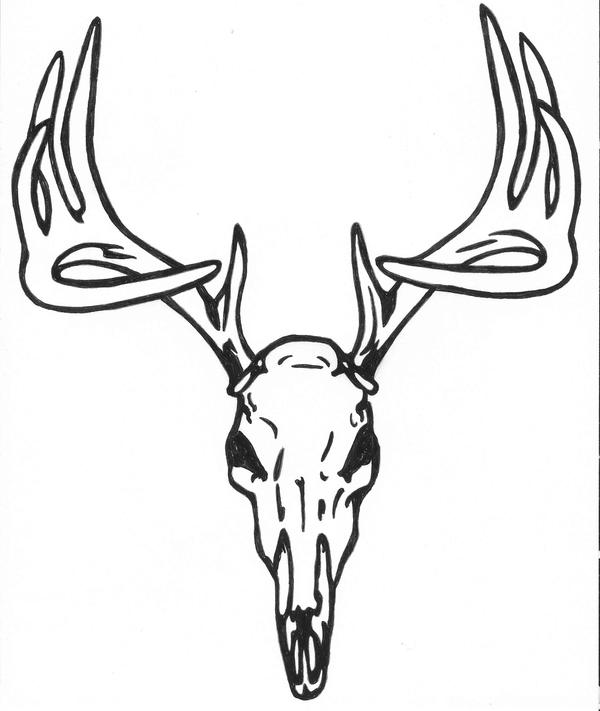 Deer Skull Tattoo by karadarkthorn on DeviantArt