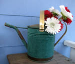Flowers in Watering Can by thiselectricheart
