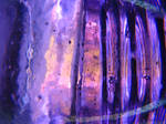 Purple Glass texture