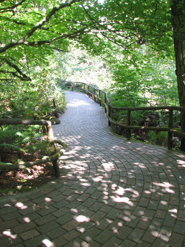 Enchanted Path stock by thiselectricheart