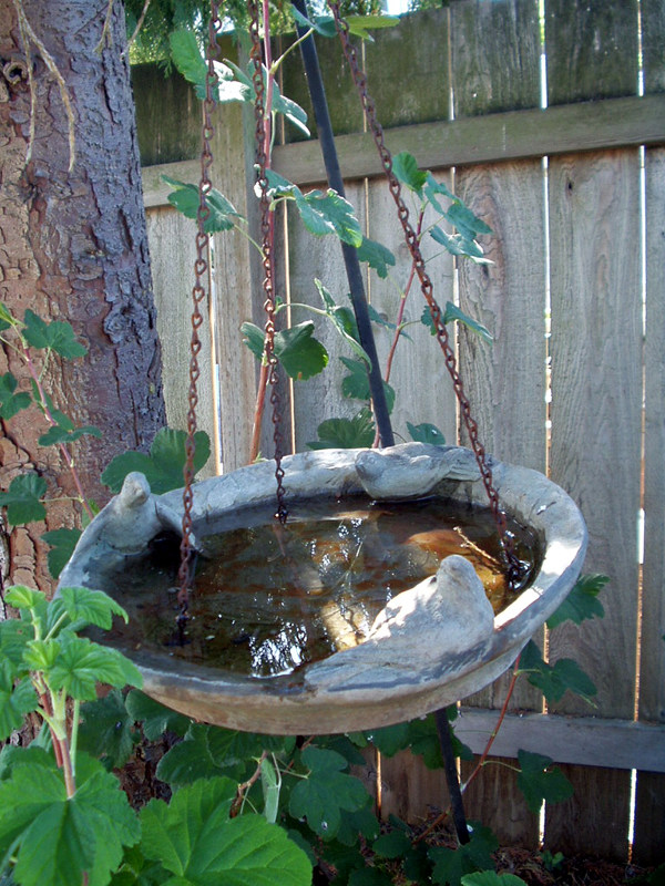 Bird Bath 1