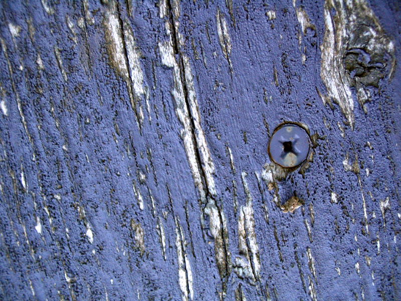 Wood texture