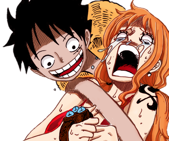  Monkey D. Luffy X Nami