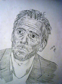 Hugh Laurie Portrait